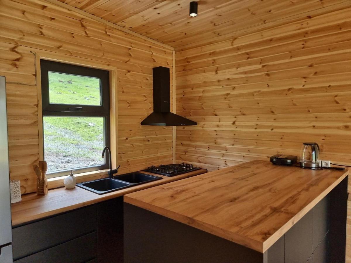 Memory Hut_Kazbegi Apartment Exterior photo